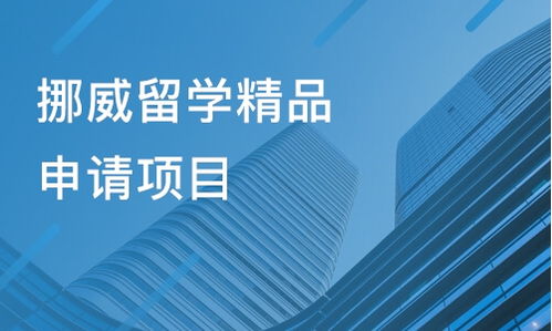成都金堂县出国留学培训机构盘点与选择指南