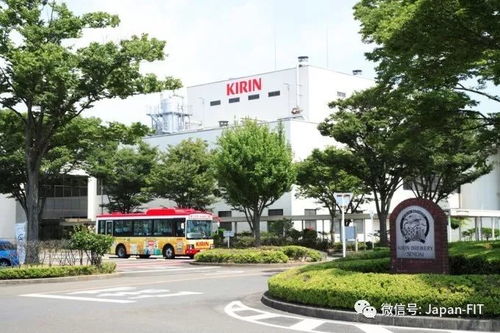 滋养了冰上美少年羽生结弦的英雄之城，2018年宫城复兴马拉松再现奇迹之光