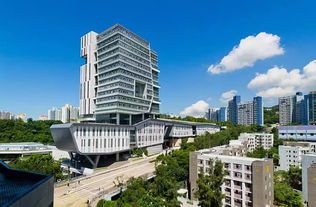 连升50级，排名紧追港中科，城大也太秀了吧